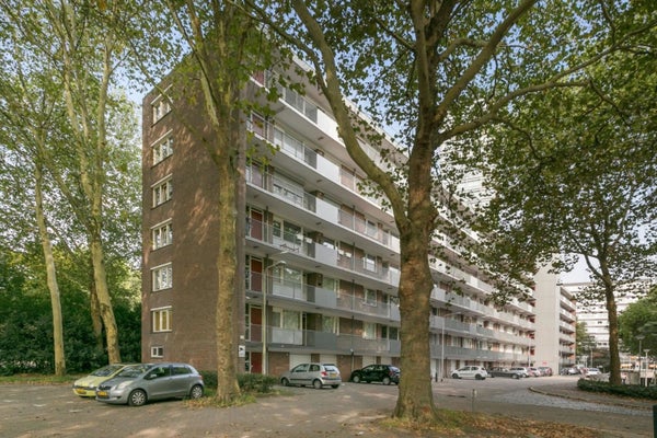 Cederstraat 61